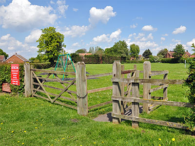 Playing Field